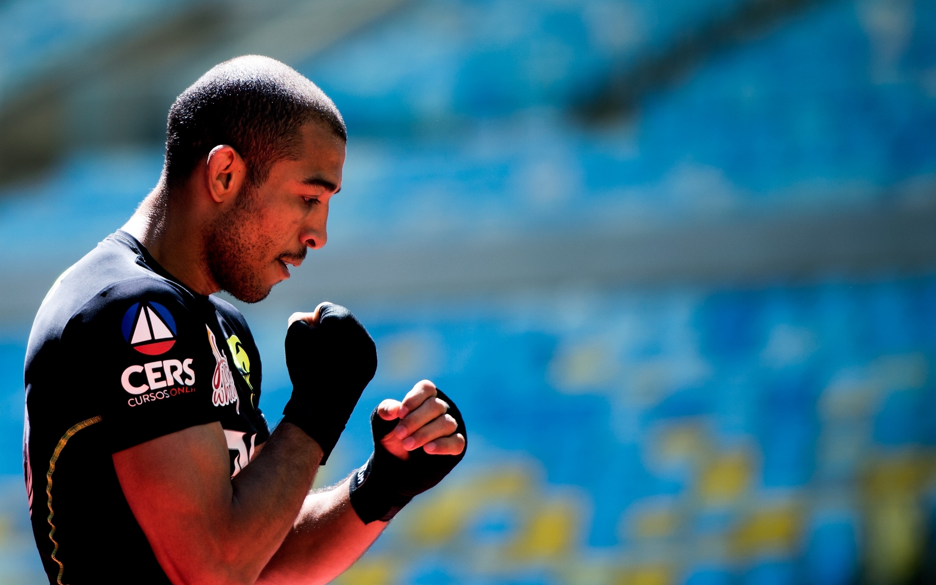 Картинки Jose aldo, mma, истребитель фото и обои на рабочий стол