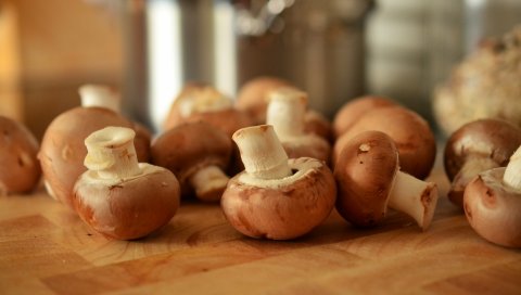 Грибы, овощи, продукты питания
