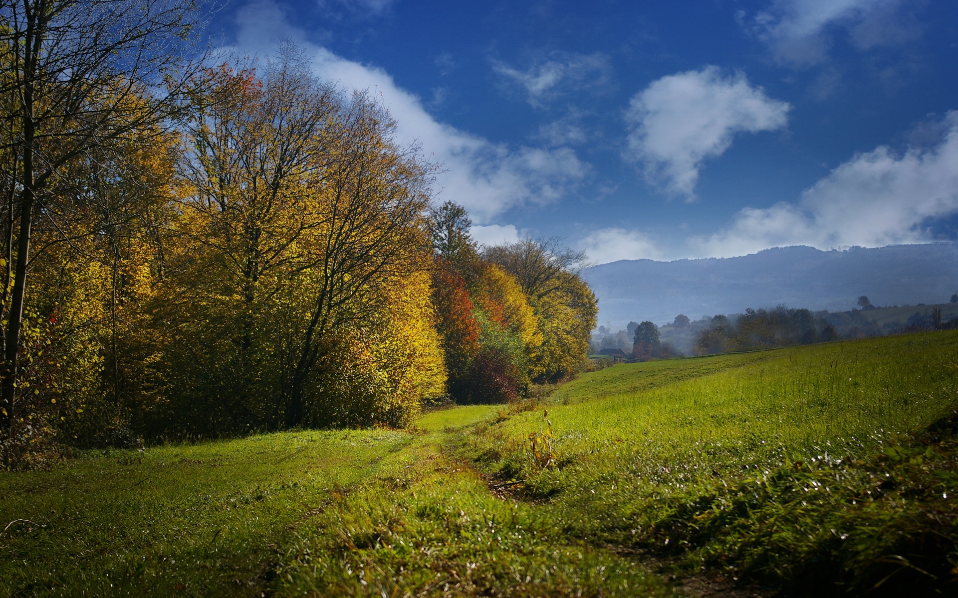 Картинки Осень, поле, трава, небо, деревья фото и обои на рабочий стол