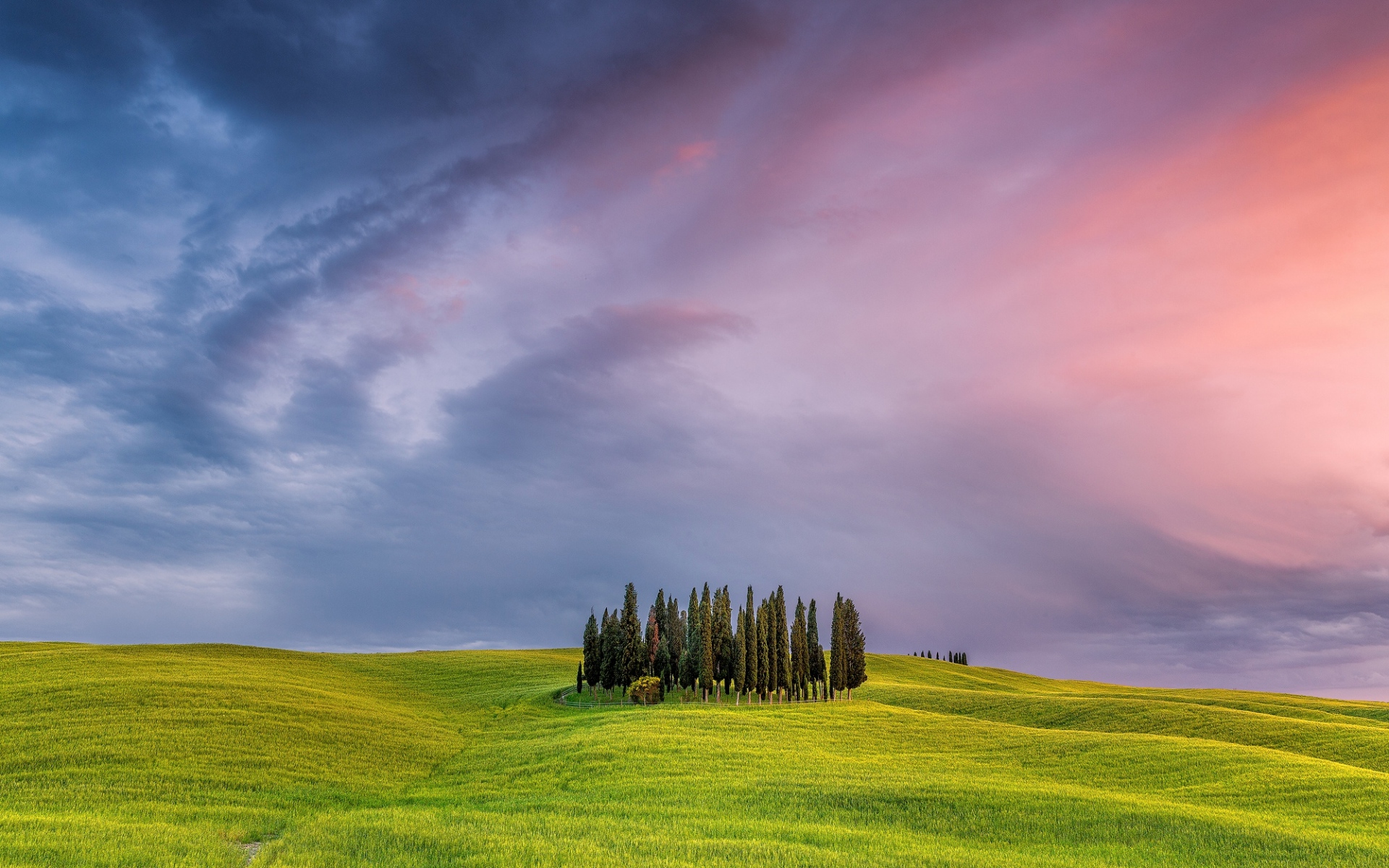 Картинки Италия, Тоскана, поле, трава, деревья фото и обои на рабочий стол