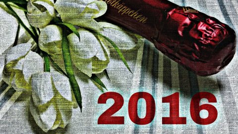 2016, новый год, шампанское, цветы