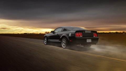 Ford, mustang, gt 350, дорога, движение