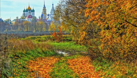 Коломна, россия, осень, храм, деревья