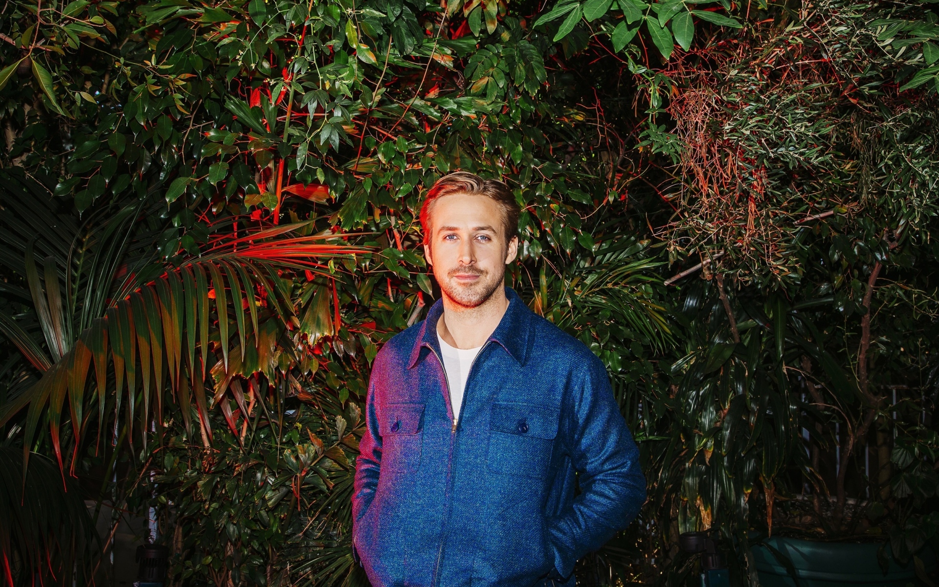 Картинки Ryan gosling, актер, взгляд, деревья фото и обои на рабочий стол