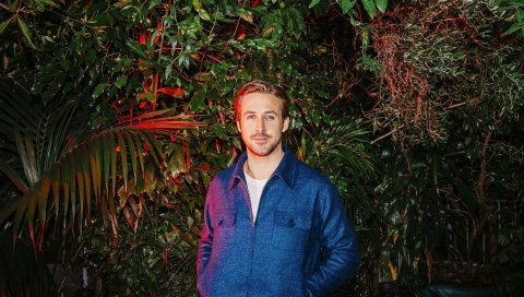 Ryan gosling, актер, взгляд, деревья