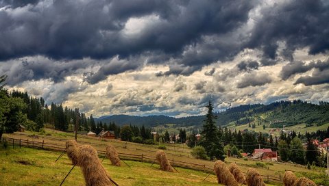 Украина, буковель, карпаты, поле, трава