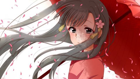 Shio xi, idolmaster, kobayakawa sae