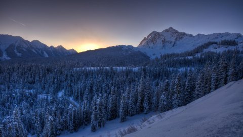 Горы, зима, снег, деревья