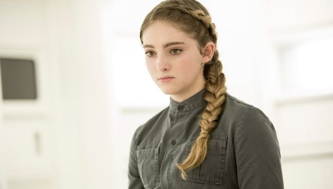 Голодные игры, mockingjay, ивовые щиты, примулы everdeen
