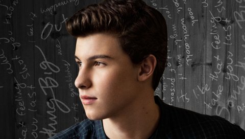 Shawn mendes, актер, профиль, лицо, ярлык