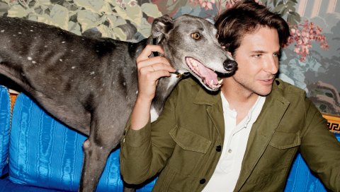 Bradley cooper, актер, собака