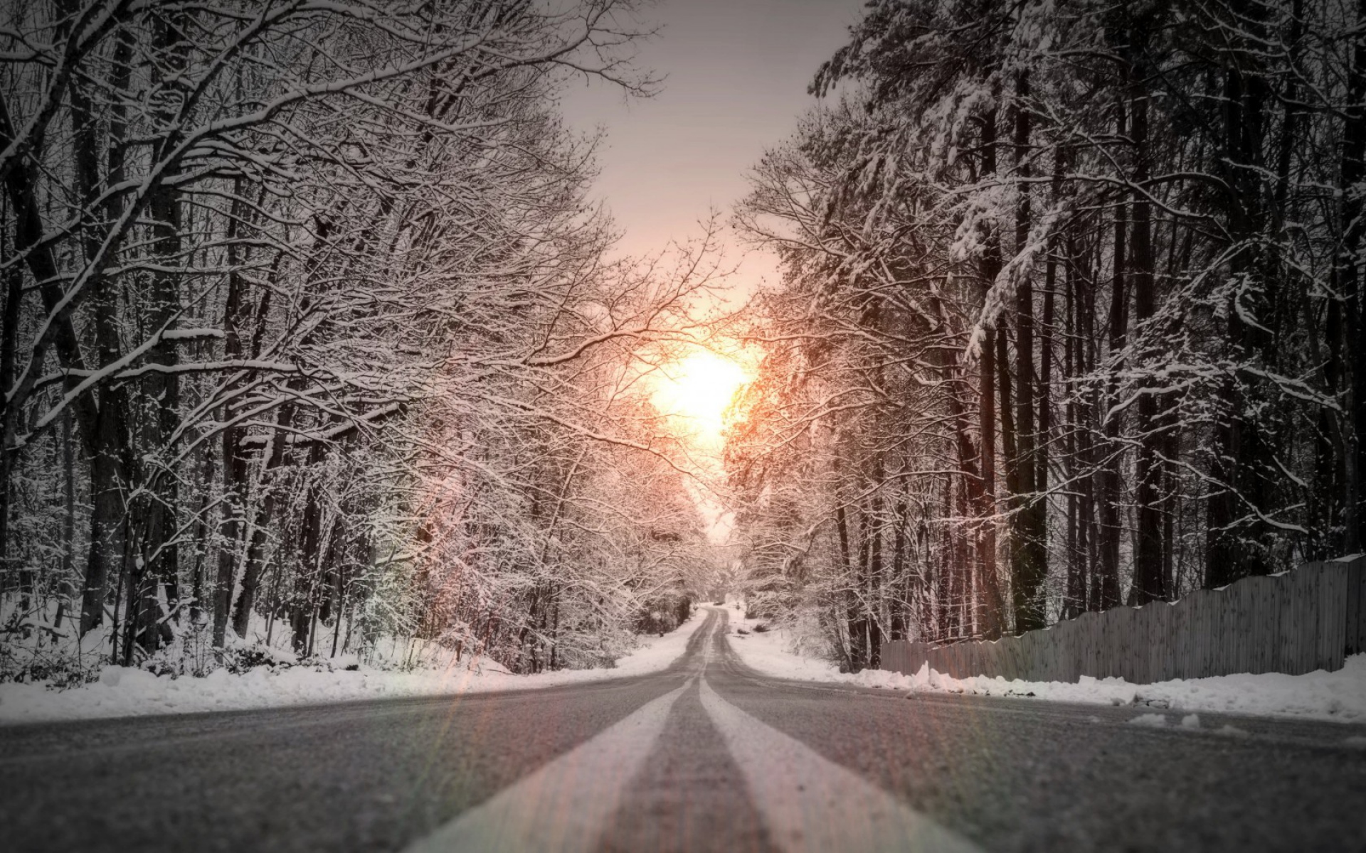 Картинки Дорога, снег, знаки, деревья, зима фото и обои на рабочий стол
