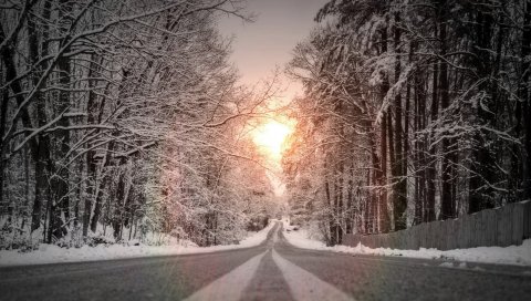 Дорога, снег, знаки, деревья, зима
