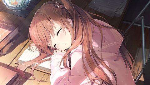 Himeno sena, koi kakera shin-ai kanojo, девушка, сон, книги