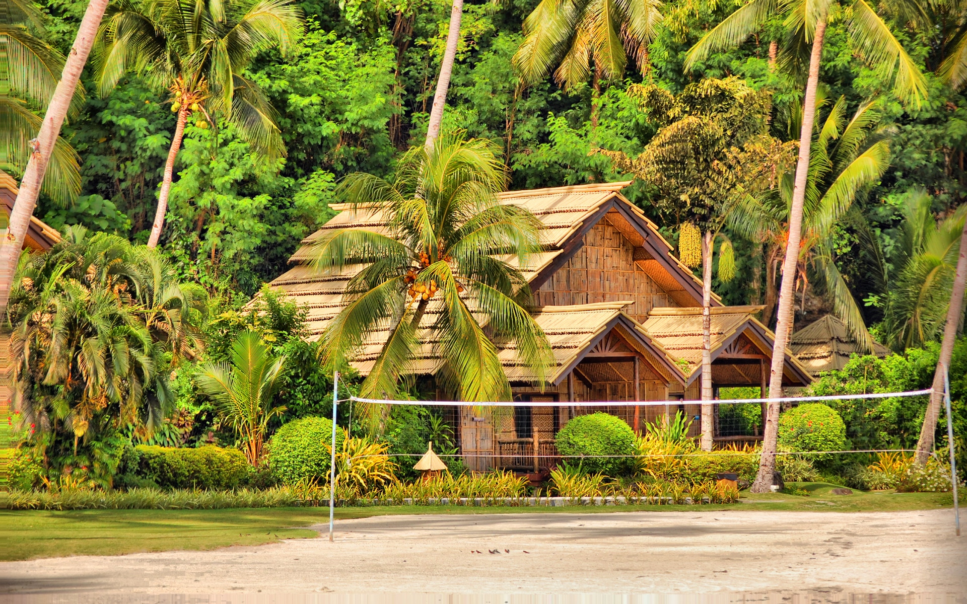 Картинки Филиппины, Самал, остров, пальмы, хижины, бунгало фото и обои на рабочий стол