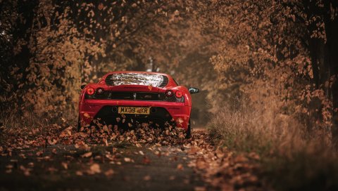Ferrari, scuderia, гоночный, красный, вид сзади, осень