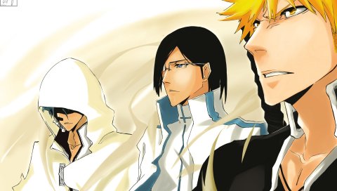 Отбеливатель, ichigo kurosaki, shinigami, grimmjow jaegerjaquez