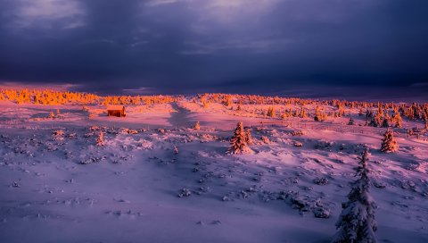 Зима, снег, небо, свечение