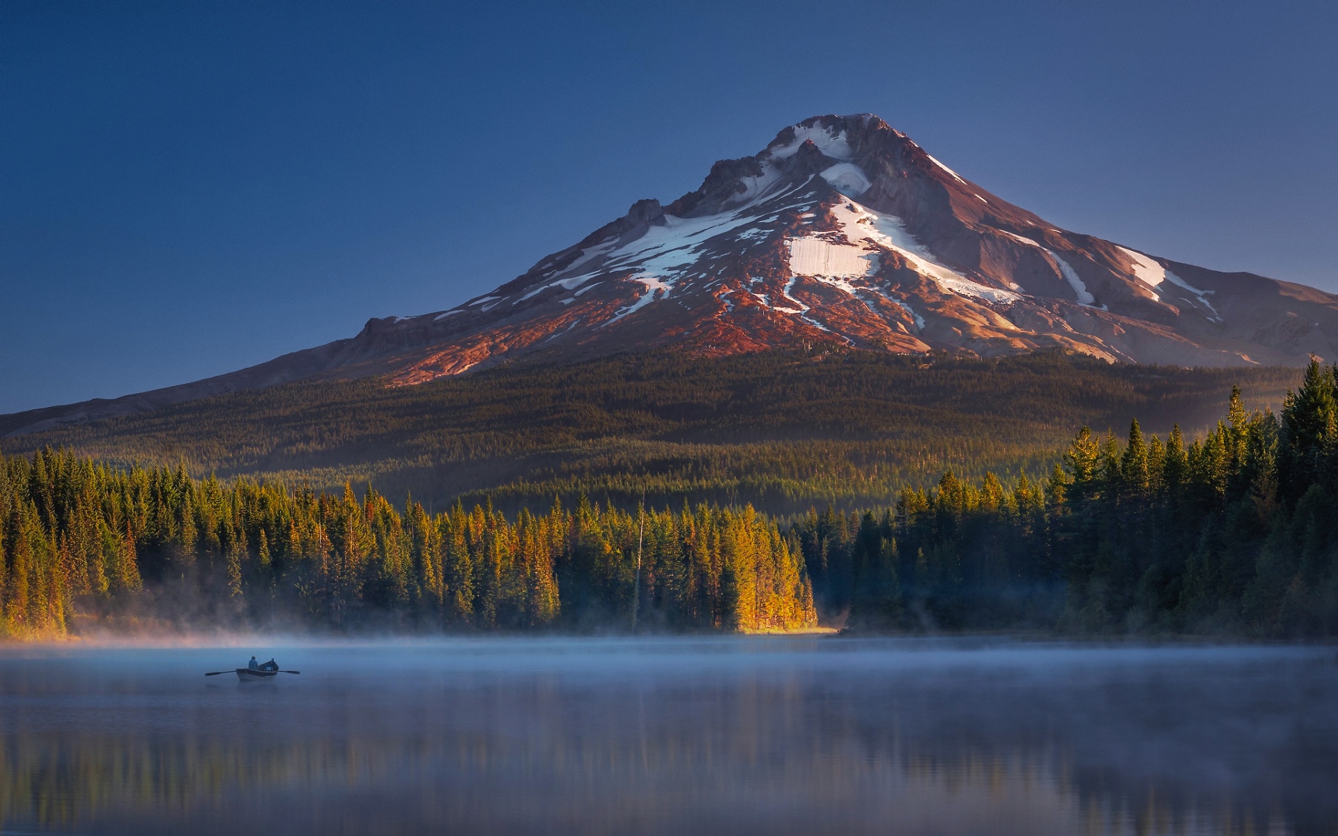 Картинки Usa, oregon, капот, триллиум, горы фото и обои на рабочий стол