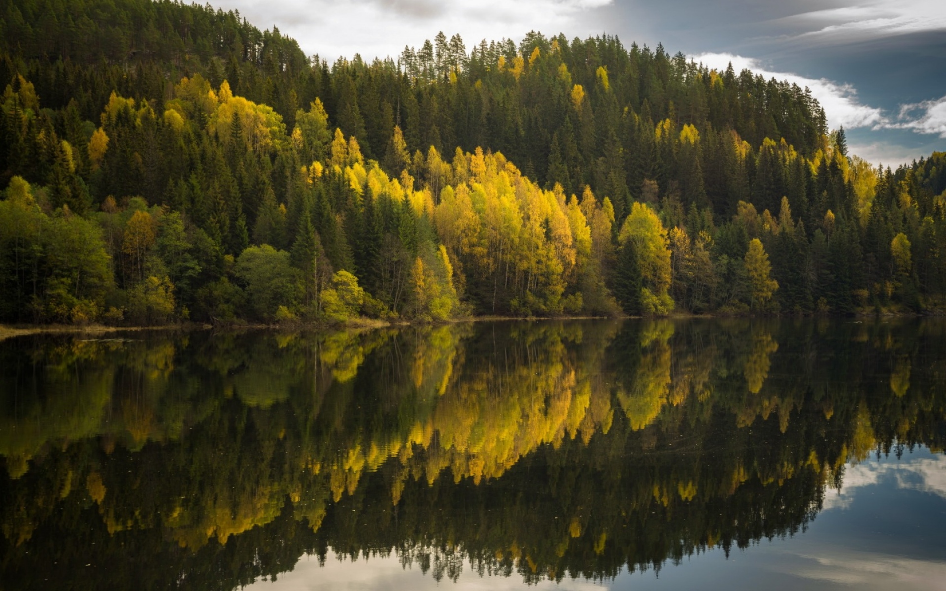 Картинки Деревья, озеро, отражение фото и обои на рабочий стол