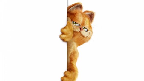 Garfield, кошка, выглядывает