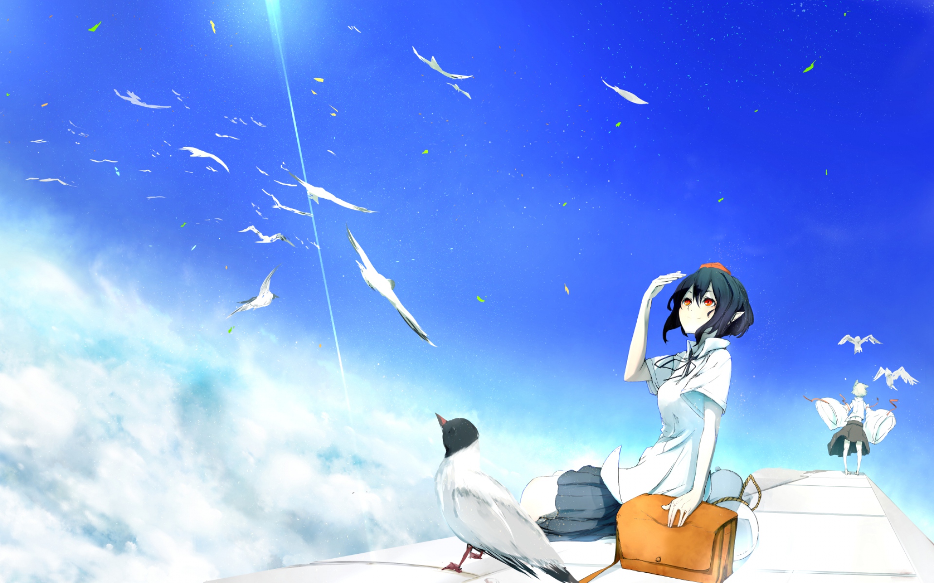 Картинки Touhou, shameimaru aya, inubashiri momiji фото и обои на рабочий стол