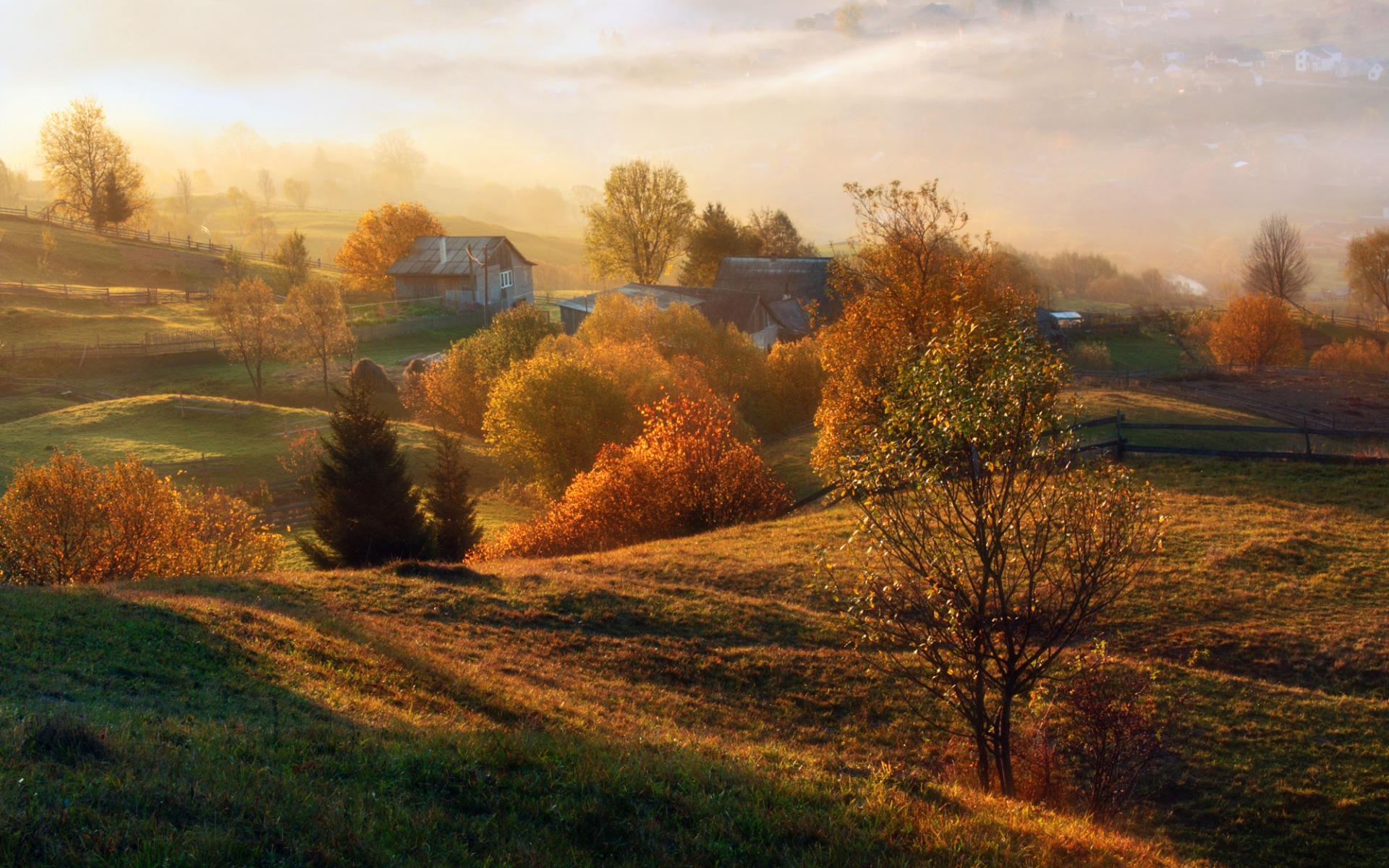 Картинки Осень, трава, деревья, деревня, дома фото и обои на рабочий стол