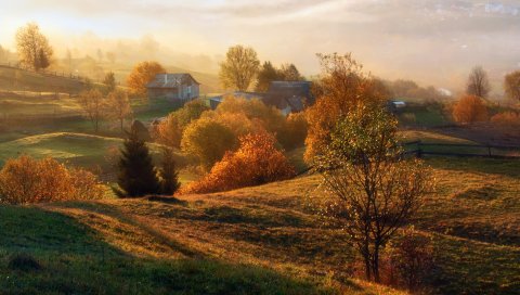 Осень, трава, деревья, деревня, дома