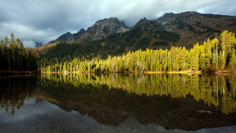 Озеро, деревья, отражение