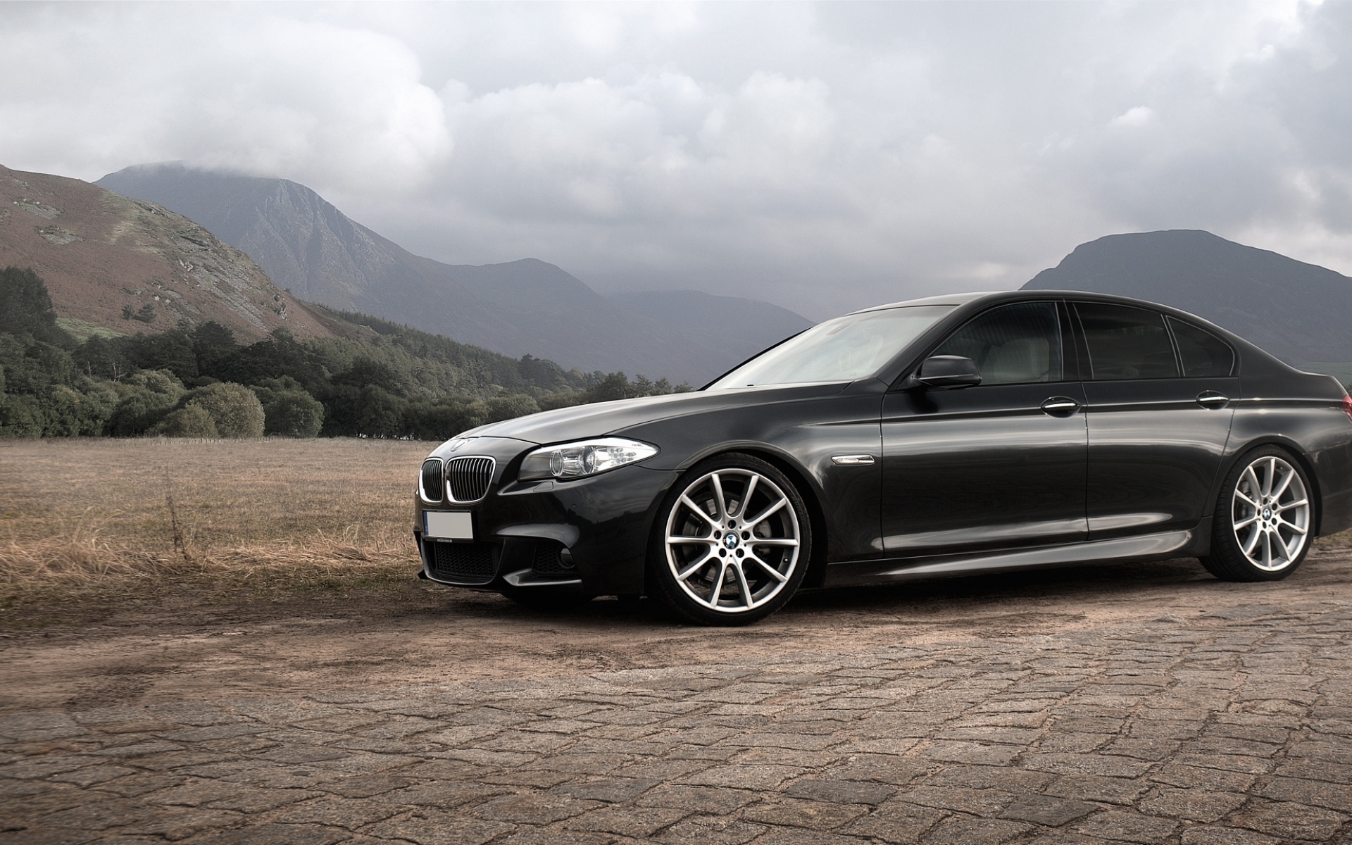 Картинки Bmw, 5, черный, вид сбоку, f10 фото и обои на рабочий стол