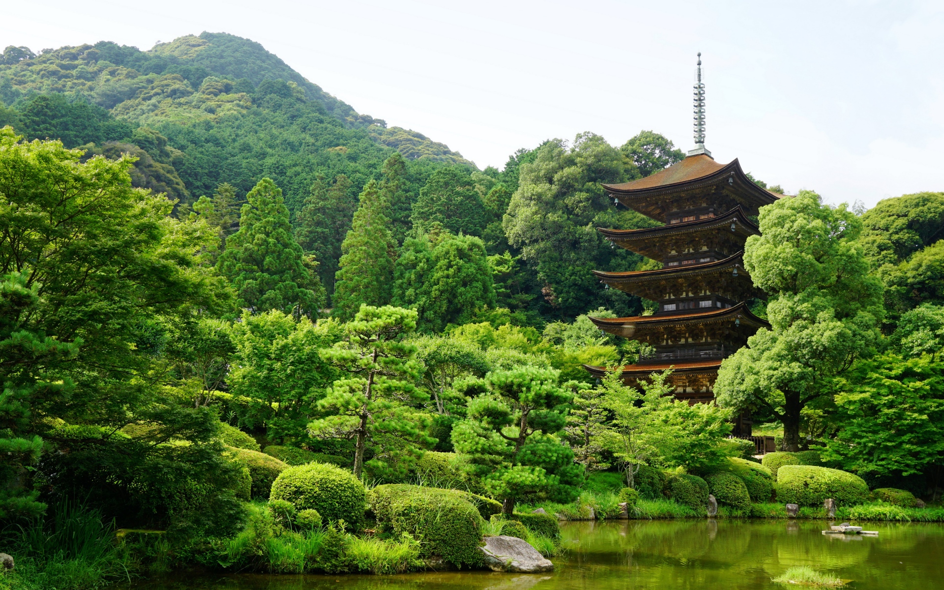 Картинки Япония, Ямагучи, Пруд, Деревья фото и обои на рабочий стол