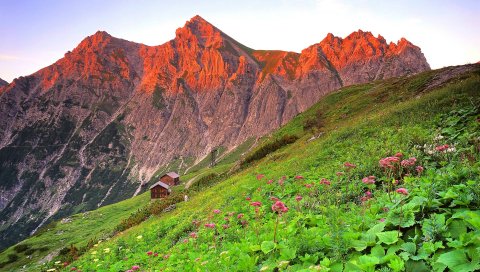 Австрия, бренднерталь, трава, гора, склон