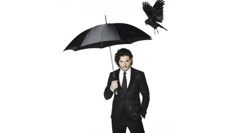 Комплект harington, костюм, зонтик, ворона, фотосессия