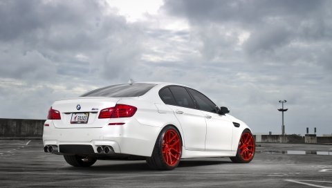 Bmw, m5, f10, белый, вид сзади
