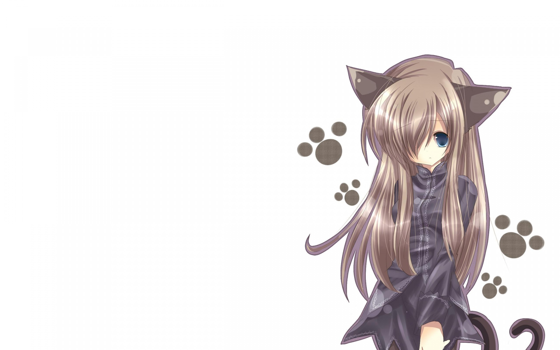 Картинки Кошка девушка, nekomimi, искусство, аниме, девушка фото и обои на рабочий стол