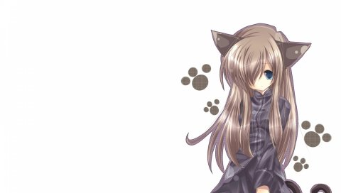 Кошка девушка, nekomimi, искусство, аниме, девушка