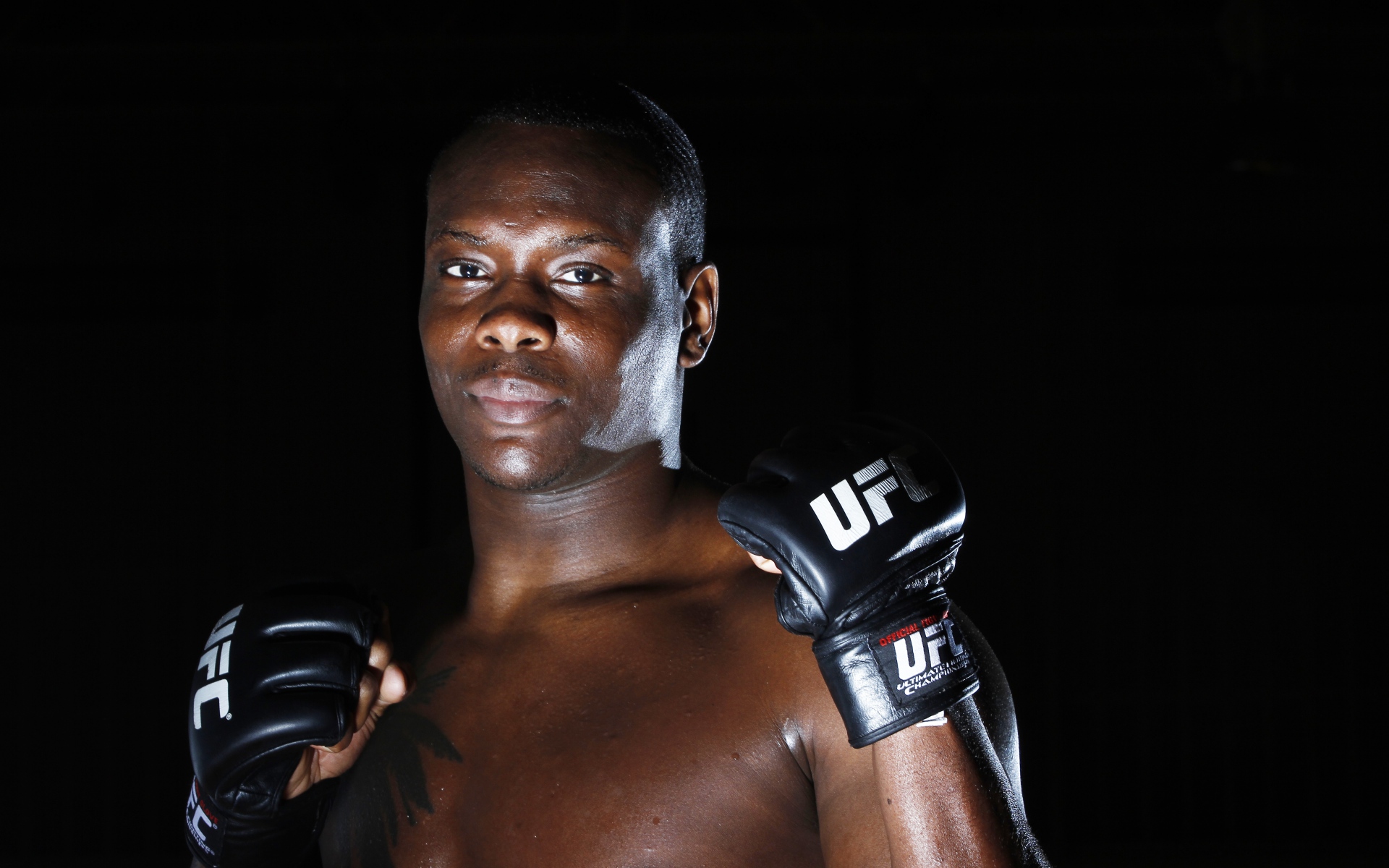 Картинки Ovince saint preux, финальный бой чемпионата, истребитель, mma фото и обои на рабочий стол