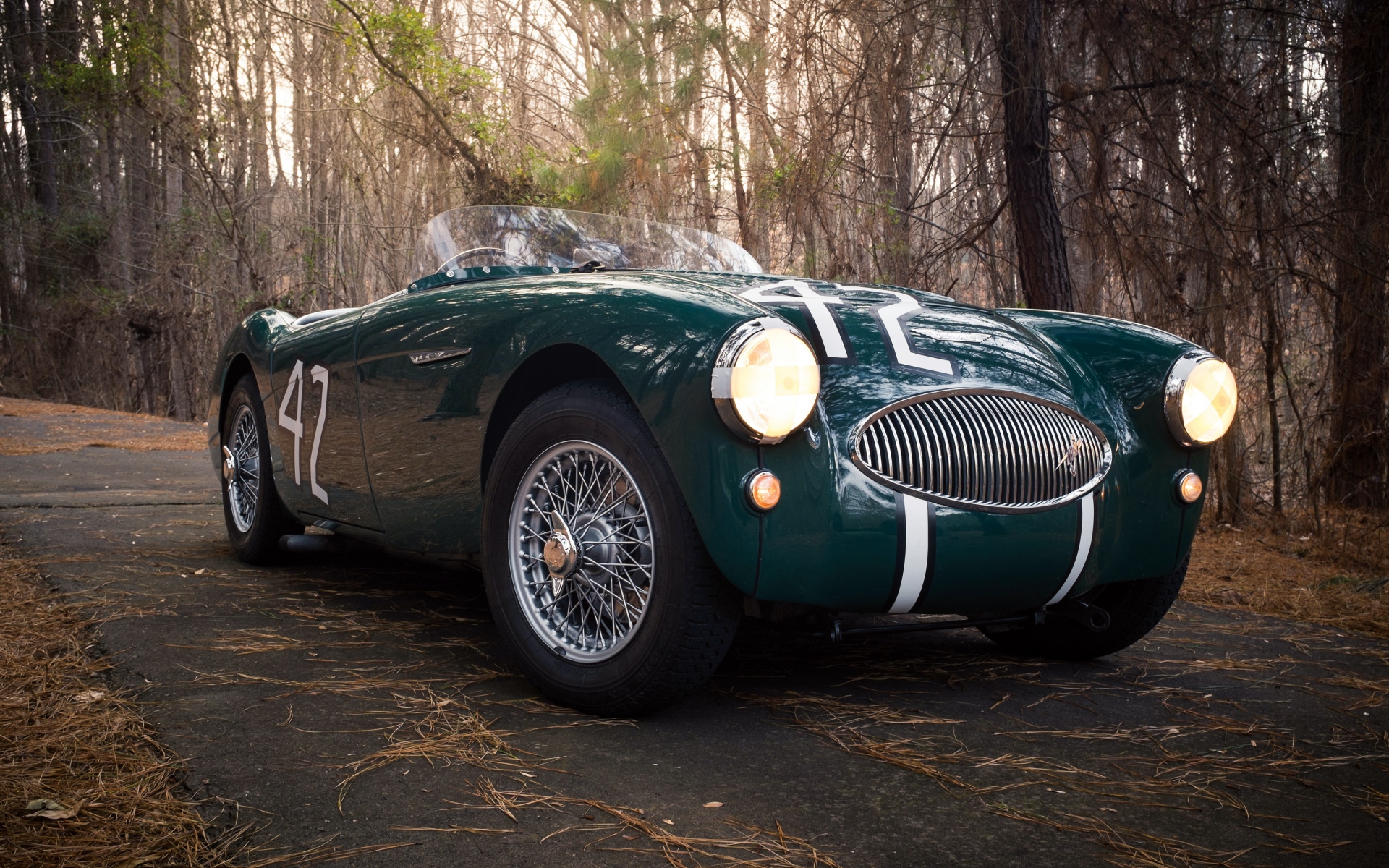 Картинки Austin healey, 100s, зеленый, вид спереди фото и обои на рабочий стол
