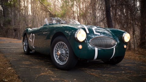 Austin healey, 100s, зеленый, вид спереди