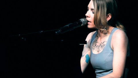 Skylar grey, певец, выступление