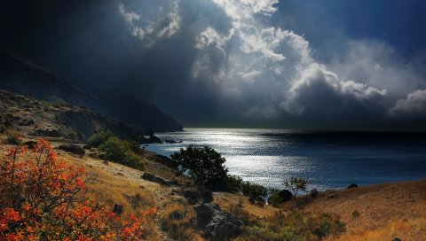 Море, крым, небо, трава, пляж, ночь