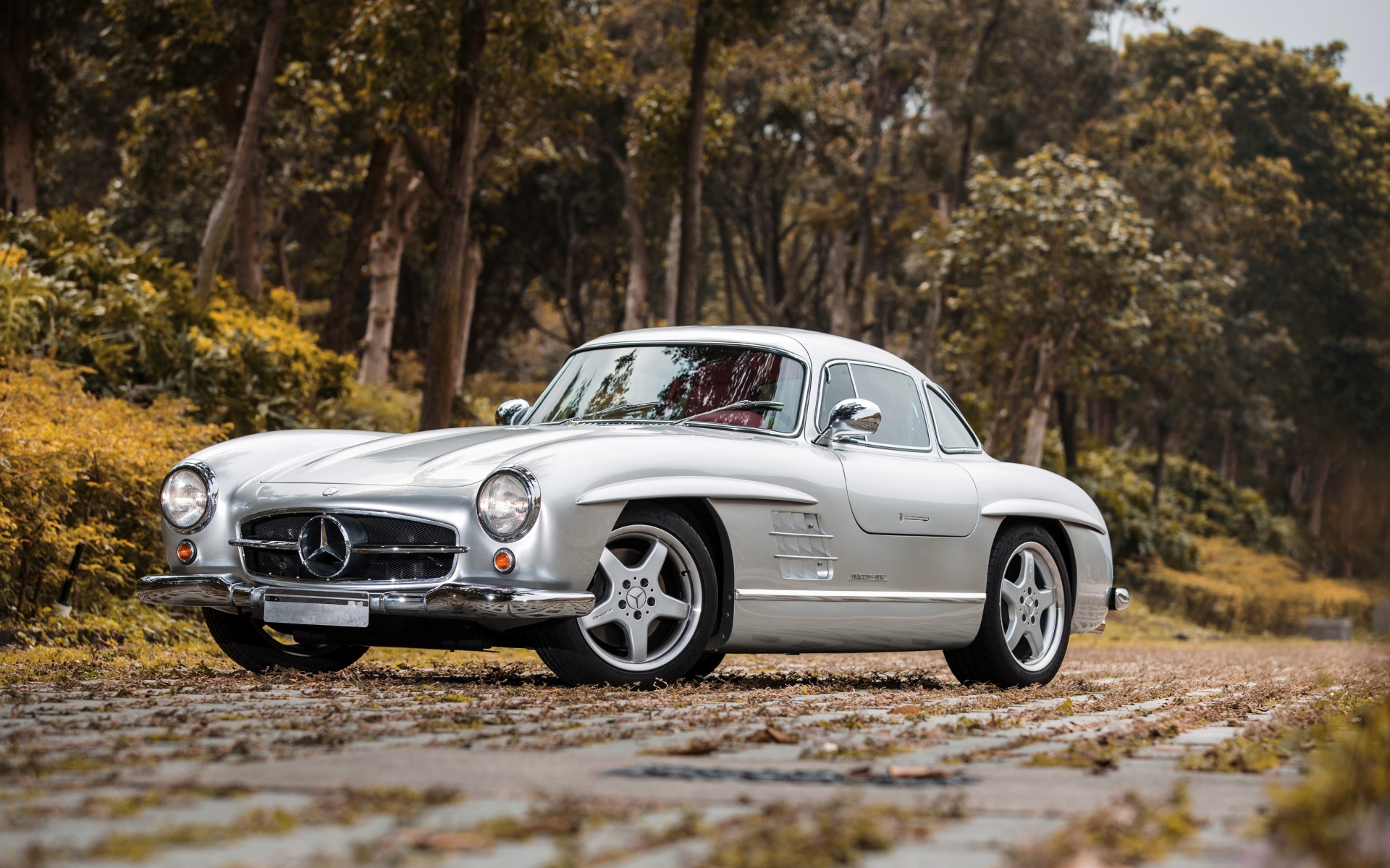 Картинки Mercedes-benz, 300sl, amg, w198, серебро, вид сбоку фото и обои на рабочий стол