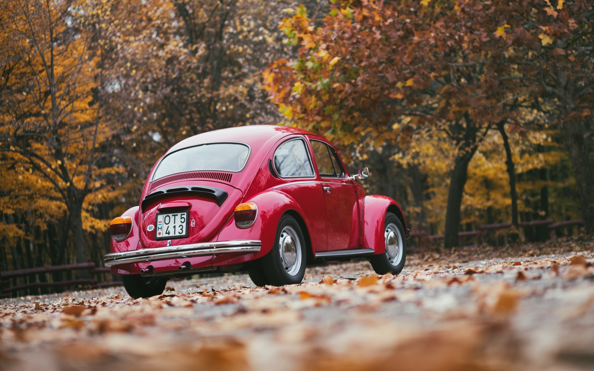 Картинки Volkswagen, красный, вид сзади фото и обои на рабочий стол