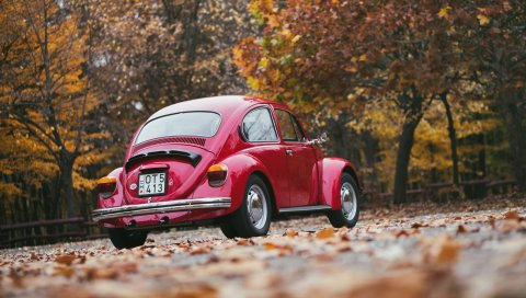 Volkswagen, красный, вид сзади