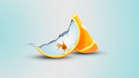 Апельсин, ломтик, рыба, вода