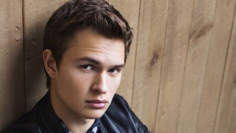 Ansel elgort, актер, лицо, взгляд