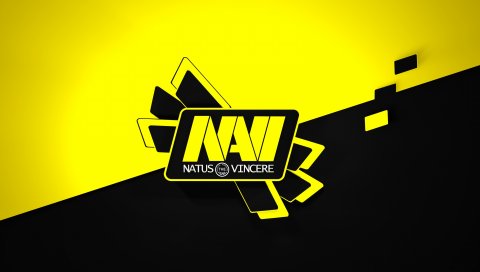 Natus Vincere, нави, Крассы, дот, CSGO