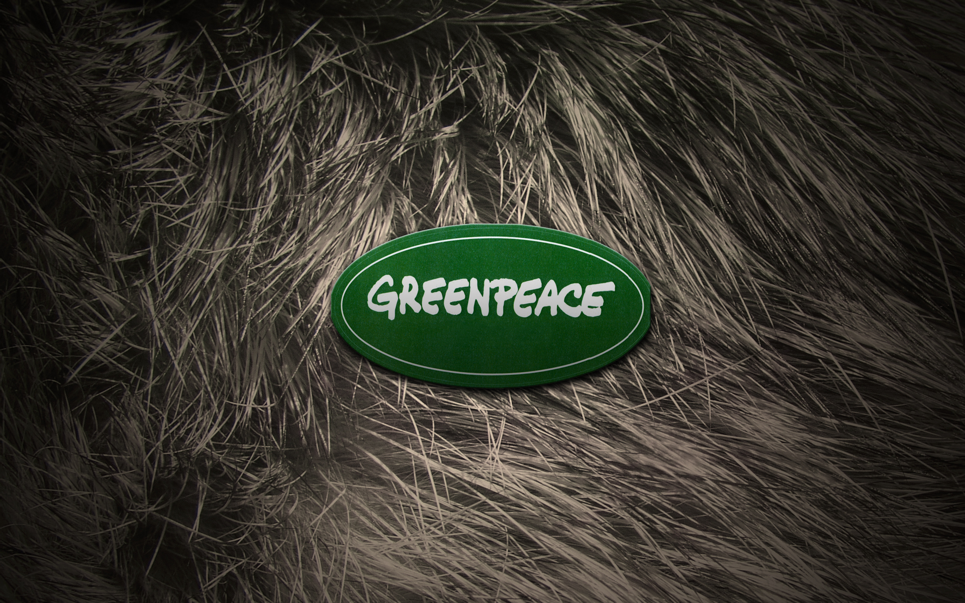 Картинки Greenpeace, экология, организация, защита, логотип фото и обои на рабочий стол