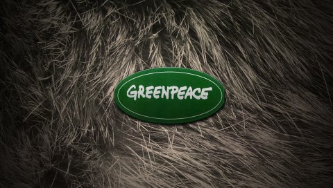 Greenpeace, экология, организация, защита, логотип