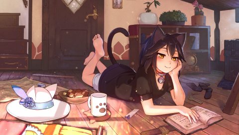 девушки, аниме, ночь, комфорт, книга